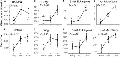 Soil Microbial Networks Shift Across a High-Elevation Successional Gradient